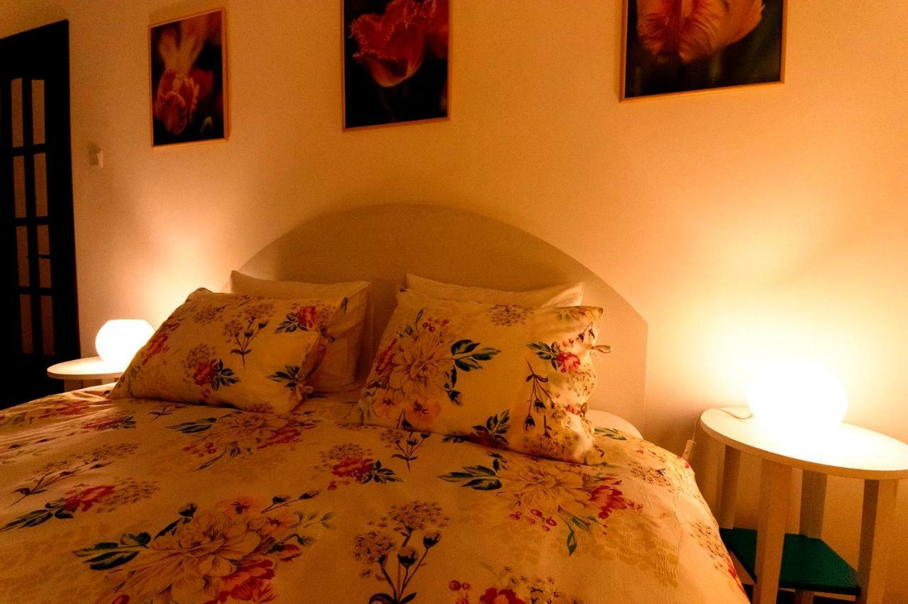 Ava'S Home Braşov Eksteriør bilde